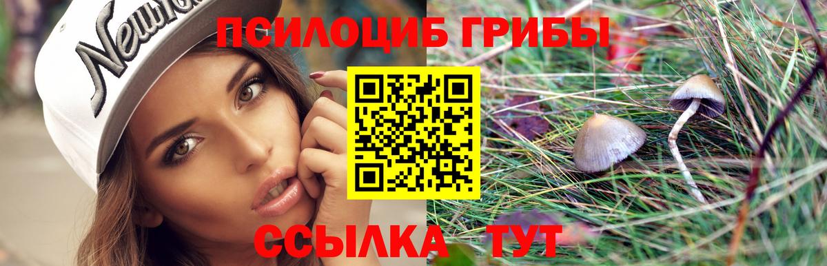 Псилоцибиновые грибы Psilocybine cubensis Каменск-Уральский
